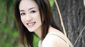 王慧娟演过的电视剧,从荧幕小花到实力派，电视剧中的精彩演绎